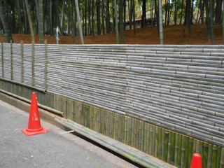 DSCN3515.JPG