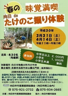 たけのこ掘りチラシ_ページ_1.jpg